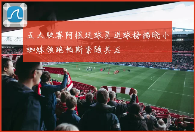 五大联赛阿根廷球员进球榜揭晓小蜘蛛领跑帕斯紧随其后