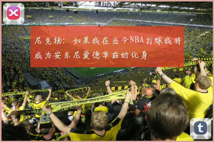 尼克杨：如果我在当今NBA打球我将成为安东尼爱德华兹的化身
